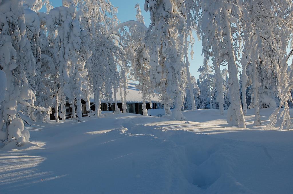 Rukanelioe Cottage Esterno foto